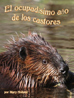 cover image of El ocupadísimo año de los castores